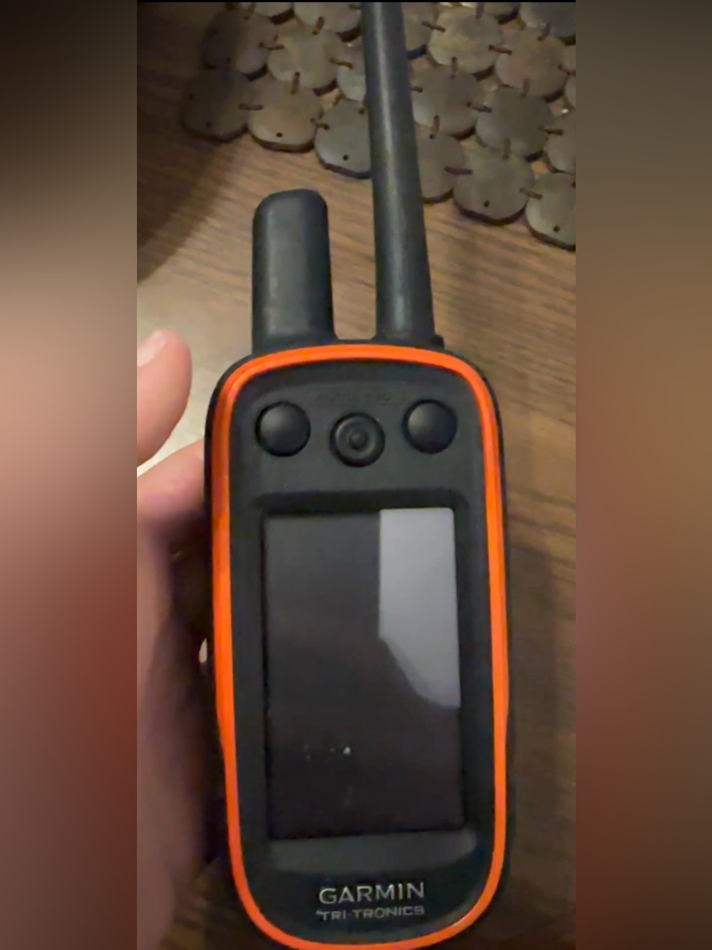 Garmin alpha 100
